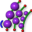 ObjectOnMultiCurve